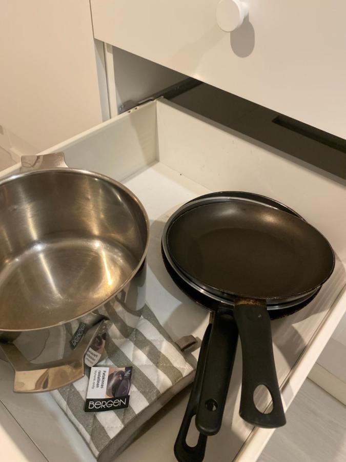 Ihana Huoneisto Juna Aseman Vieressae. Vantaa